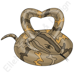 snake-heart